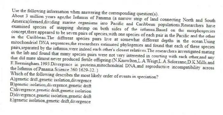 Use the following information when answering the corresponding question(s).
About 3 million years ago,the Isthmus of Panama (a narrow strip of land connecting North and South America)formed,dividing marine organisms into Pacific and Caribbean populations.Researchers have examined species of snapping shrimp on both sides of the isthmus.Based on the morphospecies concept,there appeared to be seven pairs of species,with one species of each pair in the Pacific and the other in the Caribbean.The different species pairs live at somewhat different depths in the ocean.Using mitochondrial DNA sequences,the researchers estimated phylogenies and found that each of these species pairs,separated by the isthmus,were indeed each other's closest relatives.The researchers investigated mating in the lab and found that many species pairs were not very interested in courting with each other,and any that did mate almost never produced fertile offspring.(N.Knowlton,L.A.Weigt,L.A.Solorzano,D.K.Mills,and E.Bermingham.1993.Divergence in proteins,mitochondrial DNA,and reproductive incompatibility across the Isthmus of Panama.Science 260:1629-32. )
-Which of the following describes the most likely order of events in speciation?
A)genetic drift,genetic isolation,divergence
B)genetic isolation,divergence,genetic drift
C)divergence,genetic drift,genetic isolation
D)divergence,genetic isolation,genetic drift
E)genetic isolation,genetic drift,divergence