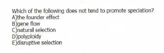 Which of the following does not tend to promote speciation?
A)the founder effect
B)gene flow
C)natural selection
D)polyploidy
E)disruptive selection