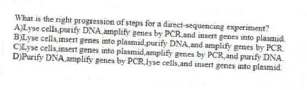 What is the right progression of steps for a direct-sequencing experiment?
A)Lyse cells,purify DNA,amplify genes by PCR,and insert genes into plasmid.
B)Lyse cells,insert genes into plasmid,purify DNA,and amplify genes by PCR.
C)Lyse cells,insert genes into plasmid,amplify genes by PCR,and purify DNA.
D)Purify DNA,amplify genes by PCR,lyse cells,and insert genes into plasmid.