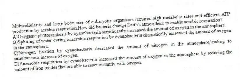 Multicellularity and large body size of eukaryotic organisms requires high metabolic rates and efficient ATP production by aerobic respiration.How did bacteria change Earth's atmosphere to enable aerobic respiration?
A)Oxygenic photosynthesis by cyanobacteria significantly increased the amount of oxygen in the atmosphere.
B)Splitting of water during anaerobic respiration by cyanobacteria dramatically increased the amount of oxygen in the atmosphere.
C)Nitrogen fixation by cyanobacteria decreased the amount of nitrogen in the atmosphere,leading to simultaneous increase of oxygen.
D)Anaerobic respiration by cyanobacteria increased the amount of oxygen in the atmosphere by reducing the amount of iron oxides that are able to react instantly with oxygen.
