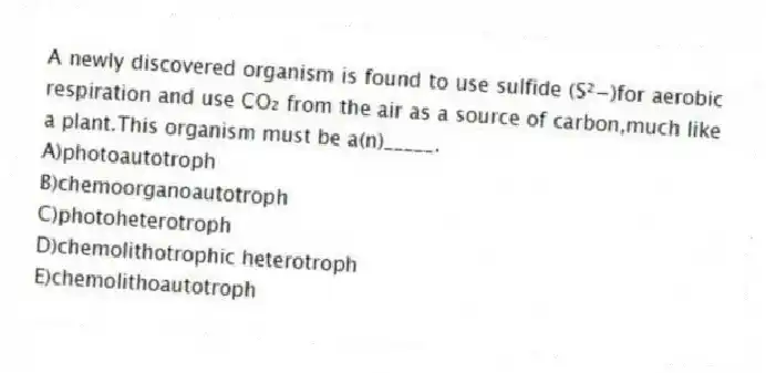 A newly discovered organism is found to use sulfide (S²−)for aerobic respiration and use CO₂ from the air as a source of carbon,much like a plant.This organism must be a(n)_____.
A)photoautotroph
B)chemoorganoautotroph
C)photoheterotroph
D)chemolithotrophic heterotroph
E)chemolithoautotroph