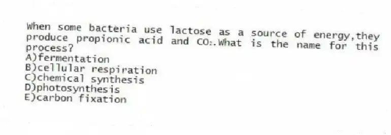 When some bacteria use lactose as a source of energy,they produce propionic acid and CO₂.What is the name for this process?
A)fermentation
B)cellular respiration
C)chemical synthesis
D)photosynthesis
E)carbon fixation