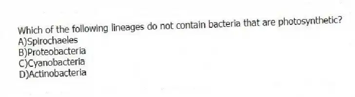 Which of the following lineages do not contain bacteria that are photosynthetic?
A)Spirochaeles
B)Proteobacteria
C)Cyanobacteria
D)Actinobacteria