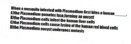 When a mosquito infected with Plasmodium first bites a human _____.
A)the Plasmodium gametes fuse,forming an oocyst
B)the Plasmodium cells infect the human liver cells
C)the Plasmodium cells cause lysing of the human red blood cells
D)the Plasmodium oocyst undergoes meiosis