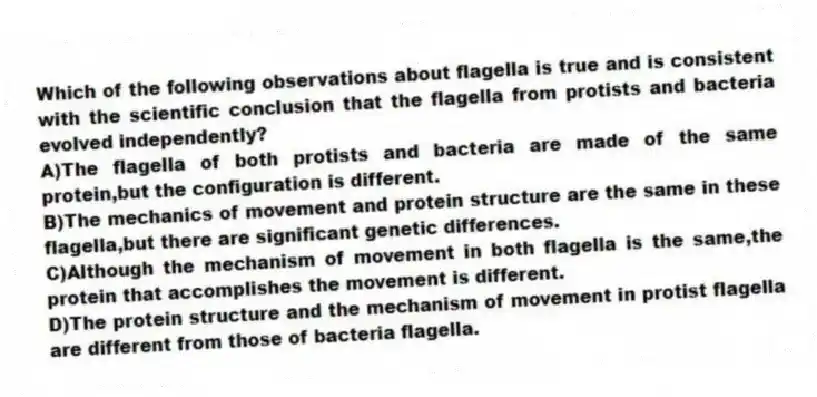 Which of the following observations about flagella is true and is consistent with the scientific conclusion that the flagella from protists and bacteria evolved independently?
A)The flagella of both protists and bacteria are made of the same protein,but the configuration is different.
B)The mechanics of movement and protein structure are the same in these flagella,but there are significant genetic differences.
C)Although the mechanism of movement in both flagella is the same,the protein that accomplishes the movement is different.
D)The protein structure and the mechanism of movement in protist flagella are different from those of bacteria flagella.