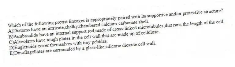 Which of the following protist lineages is appropriately paired with its supportive and/or protective structure?
A)Diatoms have an intricate,chalky,chambered calcium carbonate shell.
B)Parabasalids have an internal support rod,made of cross-linked microtubules,that runs the length of the cell.
C)Alveolates have tough plates in the cell wall that are made up of cellulose.
D)Euglenoids cover themselves with tiny pebbles.
E)Dinoflagellates are surrounded by a glass-like,silicone dioxide cell wall.