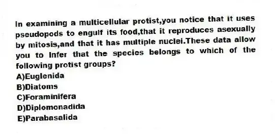 In examining a multicellular protist,you notice that it uses pseudopods to engulf its food,that it reproduces asexually by mitosis,and that it has multiple nuclei.These data allow you to infer that the species belongs to which of the following protist groups?
A)Euglenida
B)Diatoms
C)Foraminifera
D)Diplomonadida
E)Parabasalida