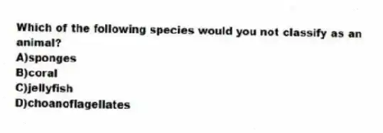 Which of the following species would you not classify as an animal?
A)sponges
B)coral
C)jellyfish
D)choanoflagellates