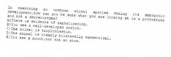 In examining an unknown animal species during its embryonic development,how can you be sure what you are looking at is a protostome and not a deuterostome?
A)There is evidence of cephalization.
B)You see a well-developed coelom.
C)The animal is triploblastic.
D)The animal is clearly bilaterally symmetrical.
E)You see a mouth,but not an anus.