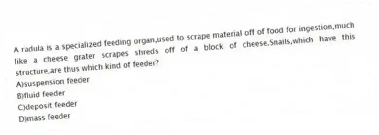A radula is a specialized feeding organ,used to scrape material off of food for ingestion,much like a cheese grater scrapes shreds off of a block of cheese.Snails,which have this structure,are thus which kind of feeder?
A)suspension feeder
B)fluid feeder
C)deposit feeder
D)mass feeder