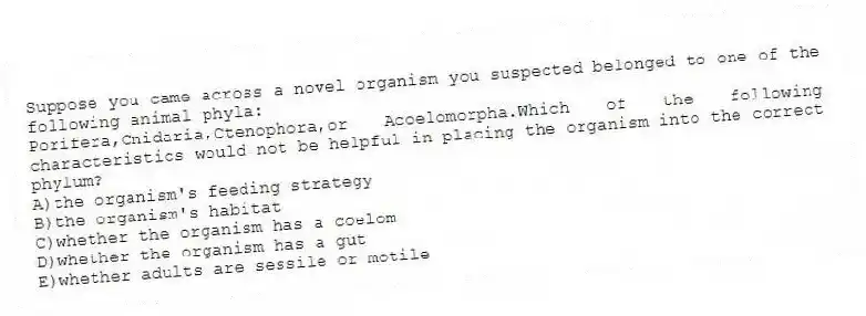 Suppose you came across a novel organism you suspected belonged to one of the following animal phyla:
Porifera,Cnidaria,Ctenophora,or Acoelomorpha.Which of the following characteristics would not be helpful in placing the organism into the correct phylum?
A)the organism's feeding strategy
B)the organism's habitat
C)whether the organism has a coelom
D)whether the organism has a gut
E)whether adults are sessile or motile