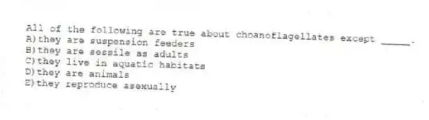 All of the following are true about choanoflagellates except _____.
A)they are suspension feeders
B)they are sessile as adults
C)they live in aquatic habitats
D)they are animals
E)they reproduce asexually