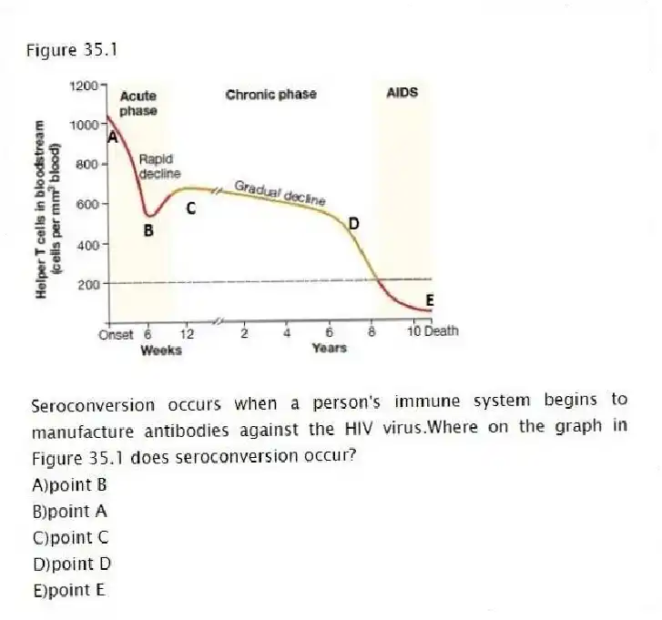 Figure 35.1
-Seroconversion occurs when a person's immune system begins to manufacture antibodies against the HIV virus.Where on the graph in Figure 35.1 does seroconversion occur?
A)point B
B)point A
C)point C
D)point D
E)point E