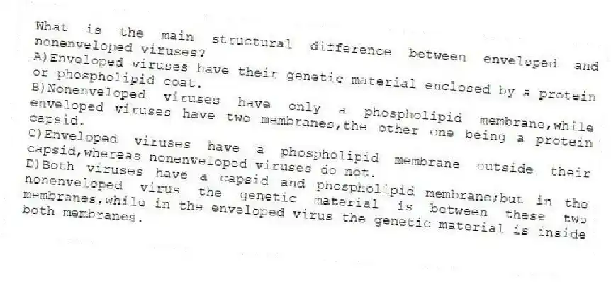 What is the main structural difference between enveloped and nonenveloped viruses?
A)Enveloped viruses have their genetic material enclosed by a protein or phospholipid coat.
B)Nonenveloped viruses have only a phospholipid membrane,while enveloped viruses have two membranes,the other one being a protein capsid.
C)Enveloped viruses have a phospholipid membrane outside their capsid,whereas nonenveloped viruses do not.
D)Both viruses have a capsid and phospholipid membrane;but in the nonenveloped virus the genetic material is between these two membranes,while in the enveloped virus the genetic material is inside both membranes.