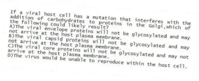 If a viral host cell has a mutation that interferes with the addition of carbohydrates to proteins in the Golgi,which of the following could likely result?
A)The viral envelope proteins will not be glycosylated and may not arrive at the host plasma membrane.
B)The viral capsid proteins will not be glycosylated and may not arrive at the host plasma membrane.
C)The viral core proteins will not be glycosylated and may not arrive at the host plasma membrane.
D)The virus would be unable to reproduce within the host cell.