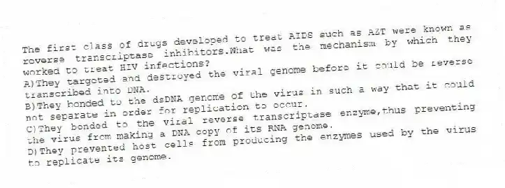 The first class of drugs developed to treat AIDS such as AZT were known as reverse transcriptase inhibitors.What was the mechanism by which they worked to treat HIV infections?
A)They targeted and destroyed the viral genome before it could be reverse transcribed into DNA.
B)They bonded to the dsDNA genome of the virus in such a way that it could not separate in order for replication to occur.
C)They bonded to the viral reverse transcriptase enzyme,thus preventing the virus from making a DNA copy of its RNA genome.
D)They prevented host cells from producing the enzymes used by the virus to replicate its genome.