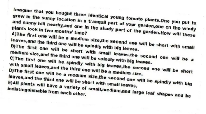 Imagine that you bought three identical young tomato plants.One you put to grow in the sunny location in a tranquil part of your garden,one on the windy and sunny hill nearby,and one in the shady part of the garden.How will these plants look in two months' time?
A)The first one will be a medium size,the second one will be short with small leaves,and the third one will be spindly with big leaves.
B)The first one will be short with small leaves,the second one will be a medium size,and the third one will be spindly with big leaves.
C)The first one will be spindly with big leaves,the second one will be short with small leaves,and the third one will be a medium size.
D)The first one will be a medium size,the second one will be spindly with big leaves,and the third one will be short with small leaves.
E)All plants will have a variety of small,medium,and large leaf shapes and be indistinguishable from each other.