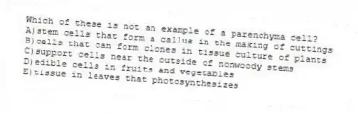 Which of these is not an example of a parenchyma cell?
A)stem cells that form a callus in the making of cuttings
B)cells that can form clones in tissue culture of plants
C)support cells near the outside of nonwoody stems
D)edible cells in fruits and vegetables
E)tissue in leaves that photosynthesizes