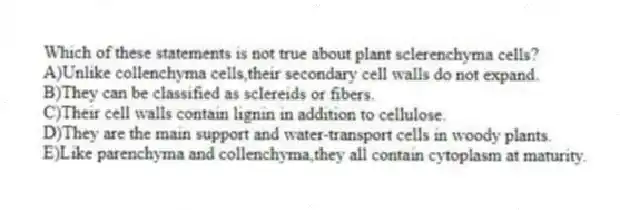 Which of these statements is not true about plant sclerenchyma cells?
A)Unlike collenchyma cells,their secondary cell walls do not expand.
B)They can be classified as sclereids or fibers.
C)Their cell walls contain lignin in addition to cellulose.
D)They are the main support and water-transport cells in woody plants.
E)Like parenchyma and collenchyma,they all contain cytoplasm at maturity.
