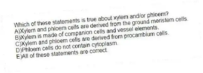 Which of these statements is true about xylem and/or phloem?
A)Xylem and phloem cells are derived from the ground meristem cells.
B)Xylem is made of companion cells and vessel elements.
C)Xylem and phloem cells are derived from procambium cells.
D)Phloem cells do not contain cytoplasm.
E)All of these statements are correct.