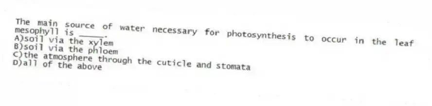 The main source of water necessary for photosynthesis to occur in the leaf mesophyll is _____.
A)soil via the xylem
B)soil via the phloem
C)the atmosphere through the cuticle and stomata
D)all of the above