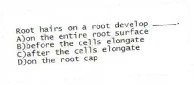 Root hairs on a root develop _____.
A)on the entire root surface
B)before the cells elongate
C)after the cells elongate
D)on the root cap