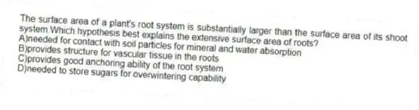The surface area of a plant's root system is substantially larger than the surface area of its shoot system.Which hypothesis best explains the extensive surface area of roots?
A)needed for contact with soil particles for mineral and water absorption
B)provides structure for vascular tissue in the roots
C)provides good anchoring ability of the root system
D)needed to store sugars for overwintering capability
