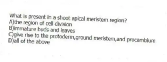 What is present in a shoot apical meristem region?
A)the region of cell division
B)immature buds and leaves
C)give rise to the protoderm,ground meristem,and procambium
D)all of the above