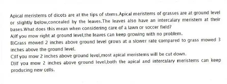 Apical meristems of dicots are at the tips of stems.Apical meristems of grasses are at ground level or slightly below,concealed by the leaves.The leaves also have an intercalary meristem at their bases.What does this mean when considering care of a lawn or soccer field?
A)If you mow right at ground level,the leaves can keep growing with no problem.
B)Grass mowed 2 inches above ground level grows at a slower rate compared to grass mowed 3 inches above the ground level.
C)If you mow 2 inches above ground level,most apical meristems will be cut down.
D)If you mow 2 inches above ground level,both the apical and intercalary meristems can keep producing new cells.
