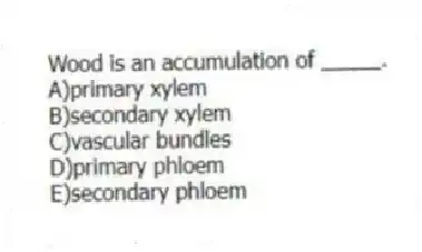 Wood is an accumulation of _____.
A)primary xylem
B)secondary xylem
C)vascular bundles
D)primary phloem
E)secondary phloem