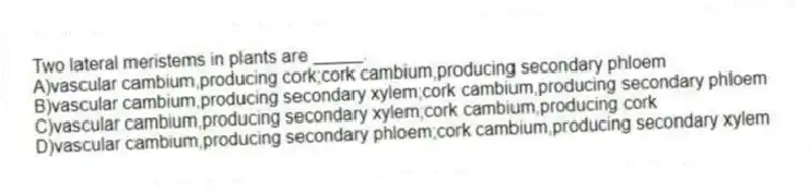 Two lateral meristems in plants are _____.
A)vascular cambium,producing cork;cork cambium,producing secondary phloem
B)vascular cambium,producing secondary xylem;cork cambium,producing secondary phloem
C)vascular cambium,producing secondary xylem;cork cambium,producing cork
D)vascular cambium,producing secondary phloem;cork cambium,producing secondary xylem