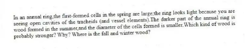 In an annual ring,the first-formed cells in the spring are large;the ring looks light because you are seeing open cavities of the tracheids (and vessel elements).The darker part of the annual ring is wood formed in the summer,and the diameter of the cells formed is smaller.Which kind of wood is probably stronger? Why? Where is the fall and winter wood?