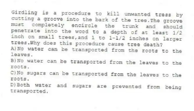 Girdling is a procedure to kill unwanted tress by cutting a groove into the bark of the tree.The groove must completely encircle the trunk and should penetrate into the wood to a depth of at least 1/2 inch on small trees,and 1 to 1-1/2 inches on larger trees.Why does this procedure cause tree death?
A)No water can be transported from the roots to the leaves.
B)No water can be transported from the leaves to the roots.
C)No sugars can be transported from the leaves to the roots.
D)Both water and sugars are prevented from being transported.