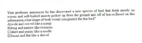 Your professor announces he has discovered a new species of bird that feeds mostly on worms and soft-bodied insects picked up from the ground and off of leaves.Based on this information,what shape of beak would you predict for this bird?
A)wide and curved like a scoop
B)long and narrow like tweezers
C)short and pointy like a needle
D)broad and flat like a shovel