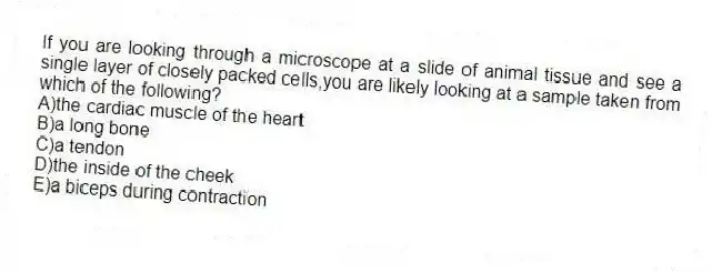 If you are looking through a microscope at a slide of animal tissue and see a single layer of closely packed cells,you are likely looking at a sample taken from which of the following?
A)the cardiac muscle of the heart
B)a long bone
C)a tendon
D)the inside of the cheek
E)a biceps during contraction
