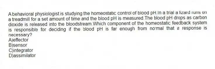 A behavioral physiologist is studying the homeostatic control of blood pH.In a trial a lizard runs on a treadmill for a set amount of time and the blood pH is measured.The blood pH drops as carbon dioxide is released into the bloodstream.Which component of the homeostatic feedback system is responsible for deciding if the blood pH is far enough from normal that a response is necessary?
A)effector
B)sensor
C)integrator
D)assimilator