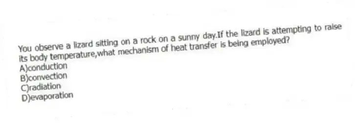 You observe a lizard sitting on a rock on a sunny day.If the lizard is attempting to raise its body temperature,what mechanism of heat transfer is being employed?
A)conduction
B)convection
C)radiation
D)evaporation