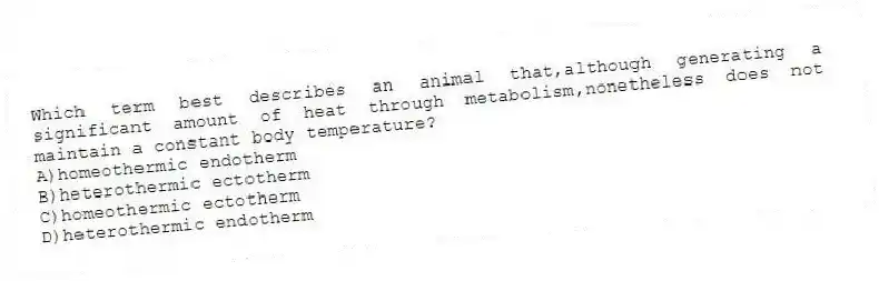 Which term best describes an animal that,although generating a significant amount of heat through metabolism,nonetheless does not maintain a constant body temperature?
A)homeothermic endotherm
B)heterothermic ectotherm
C)homeothermic ectotherm
D)heterothermic endotherm