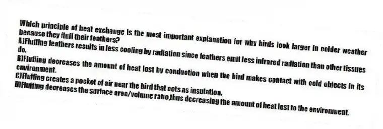 Which principle of heat exchange is the most important explanation for why birds look larger in colder weather because they fluff their feathers?
A)Fluffing feathers results in less cooling by radiation since feathers emit less infrared radiation than other tissues do.
B)Fluffing decreases the amount of heat lost by conduction when the bird makes contact with cold objects in its environment.
C)Fluffing creates a pocket of air near the bird that acts as insulation.
D)Fluffing decreases the surface area/volume ratio,thus decreasing the amount of heat lost to the environment.