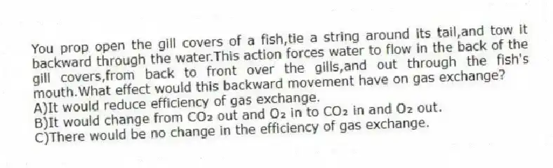 You prop open the gill covers of a fish,tie a string around its tail,and tow it backward through the water.This action forces water to flow in the back of the gill covers,from back to front over the gills,and out through the fish's mouth.What effect would this backward movement have on gas exchange?
A)It would reduce efficiency of gas exchange.
B)It would change from CO₂ out and O₂ in to CO₂ in and O₂ out.
C)There would be no change in the efficiency of gas exchange.