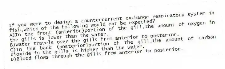 If you were to design a countercurrent exchange respiratory system in fish,which of the following would not be expected?
A)In the front (anterior)portion of the gill,the amount of oxygen in the gills is lower than the water.
B)Water travels over the gills from anterior to posterior.
C)In the back (posterior)portion of the gill,the amount of carbon dioxide in the gills is higher than the water.
D)Blood flows through the gills from anterior to posterior.