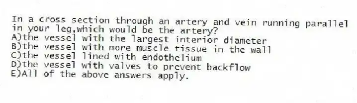 In a cross section through an artery and vein running parallel in your leg,which would be the artery?
A)the vessel with the largest interior diameter
B)the vessel with more muscle tissue in the wall
C)the vessel lined with endothelium
D)the vessel with valves to prevent backflow
E)All of the above answers apply.