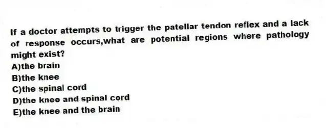 If a doctor attempts to trigger the patellar tendon reflex and a lack of response occurs,what are potential regions where pathology might exist?
A)the brain
B)the knee
C)the spinal cord
D)the knee and spinal cord
E)the knee and the brain