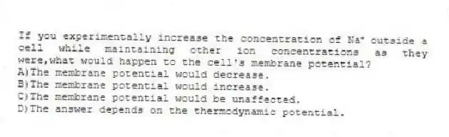 If you experimentally increase the concentration of Na⁺ outside a cell while maintaining other ion concentrations as they were,what would happen to the cell's membrane potential?
A)The membrane potential would decrease.
B)The membrane potential would increase.
C)The membrane potential would be unaffected.
D)The answer depends on the thermodynamic potential.