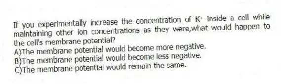 If you experimentally increase the concentration of K⁺ inside a cell while maintaining other ion concentrations as they were,what would happen to the cell's membrane potential?
A)The membrane potential would become more negative.
B)The membrane potential would become less negative.
C)The membrane potential would remain the same.