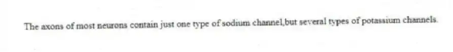 The axons of most neurons contain just one type of sodium channel,but several types of potassium channels.