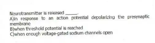 Neurotransmitter is released _____.
A)in response to an action potential depolarizing the presynaptic membrane
B)when threshold potential is reached
C)when enough voltage-gated sodium channels open