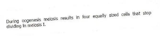 During oogenesis meiosis results in four equally sized cells that stop dividing in meiosis I.