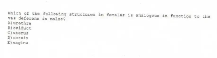 Which of the following structures in females is analogous in function to the vas deferens in males?
A)urethra
B)oviduct
C)uterus
D)cervix
E)vagina