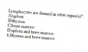 Lymphocytes are formed in what organ(s)?
A)spleen
B)thymus
C)bone marrow
D)spleen and bone marrow
E)thymus and bone marrow